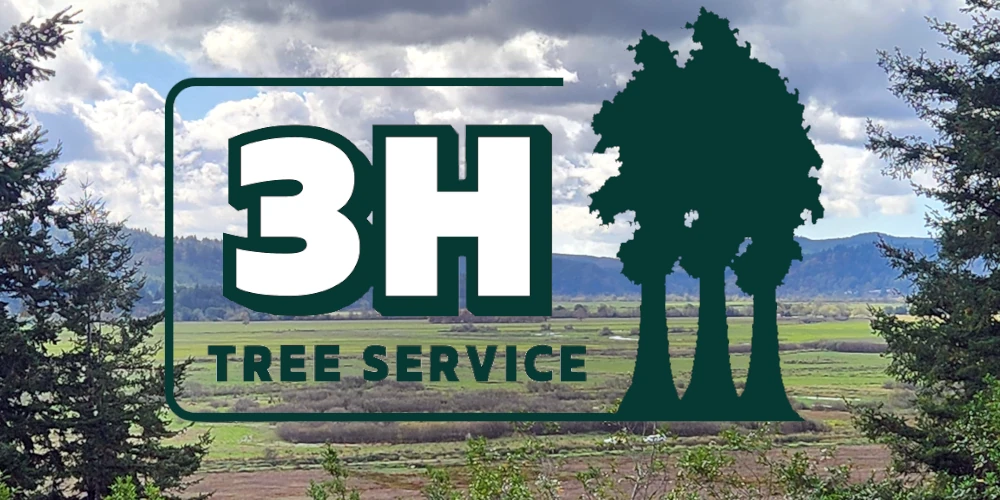 site header image