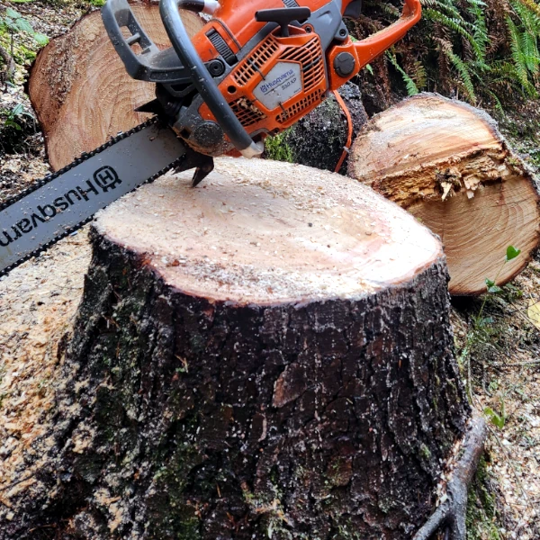 stump